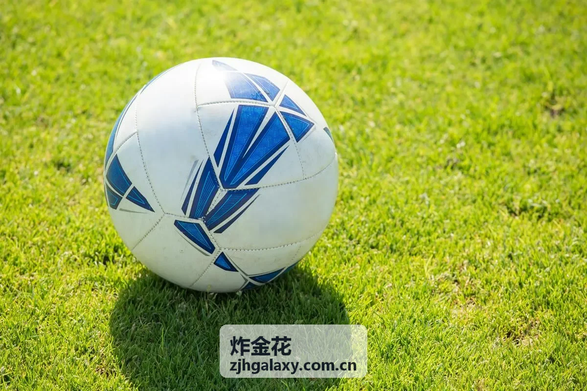 炸金花新手入门说明